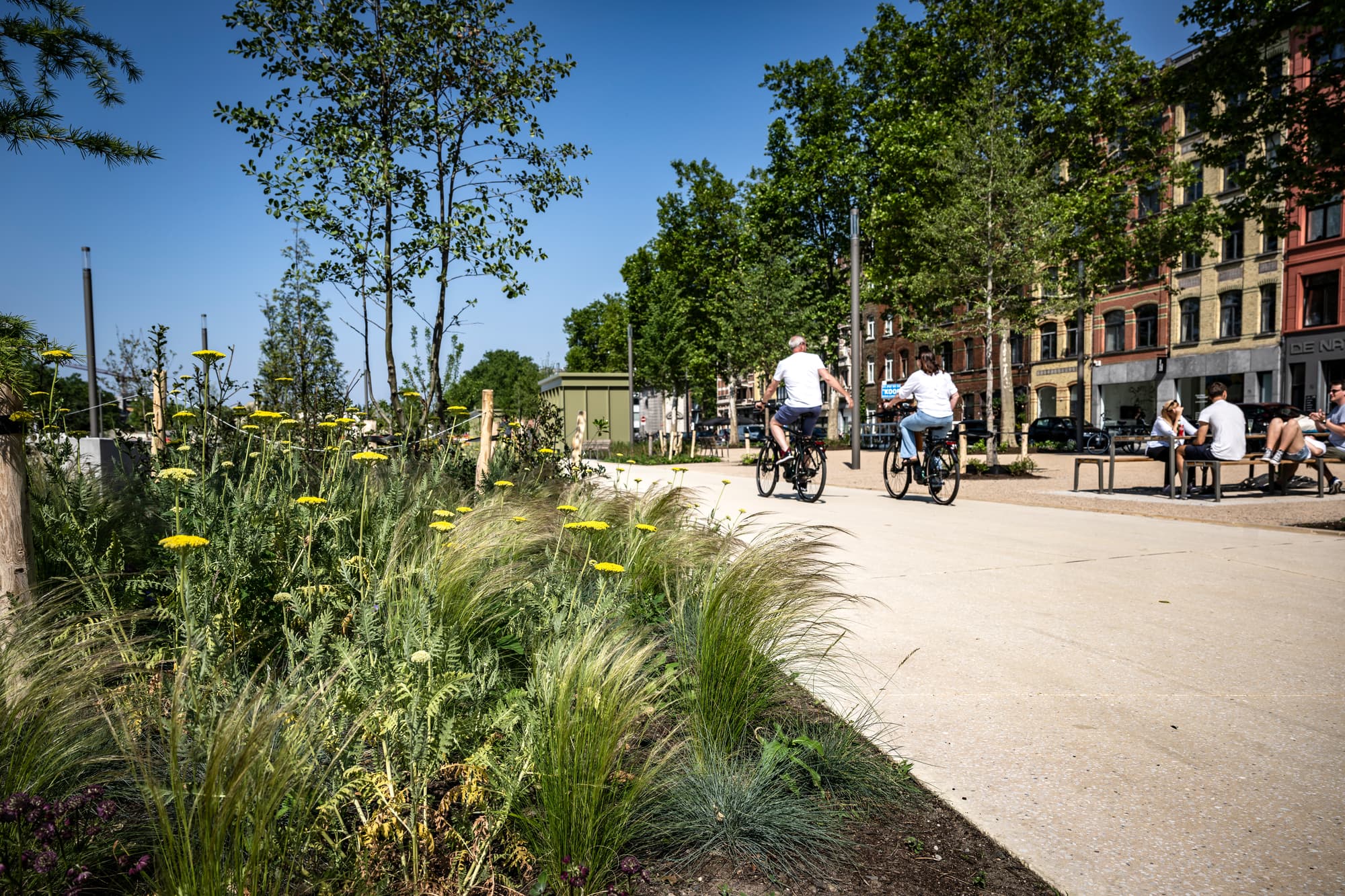 Het Zuidpark — transformatie van de Gedempte Zuiderdokken